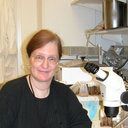 Deborah Ann Hursh