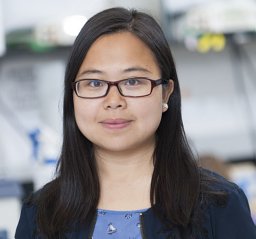Yan Feng