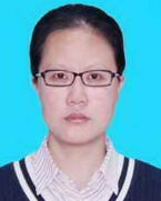 Qi Lei