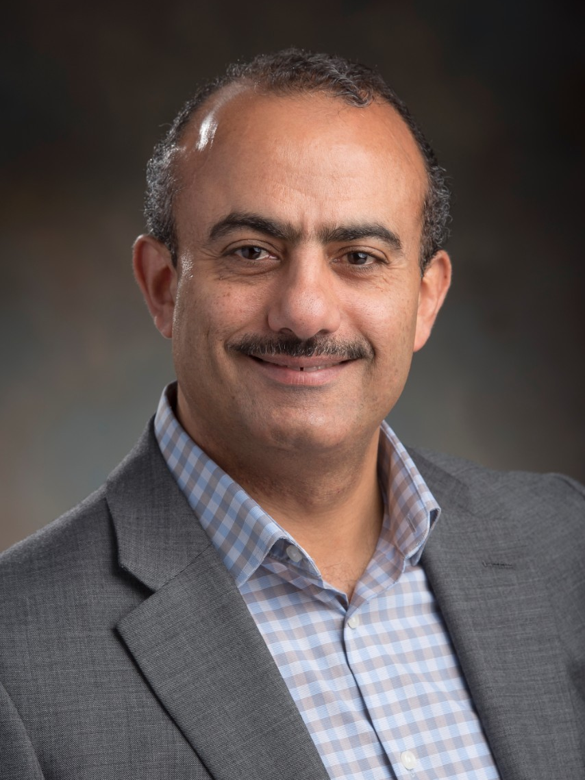 Mohamed Hefeeda