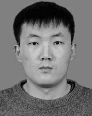 Qikang Liu