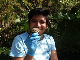 Elfego Cuevas