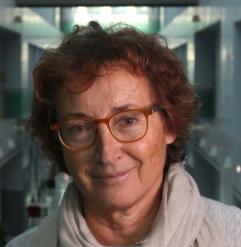 Mercedes García-Arenal Rodríguez