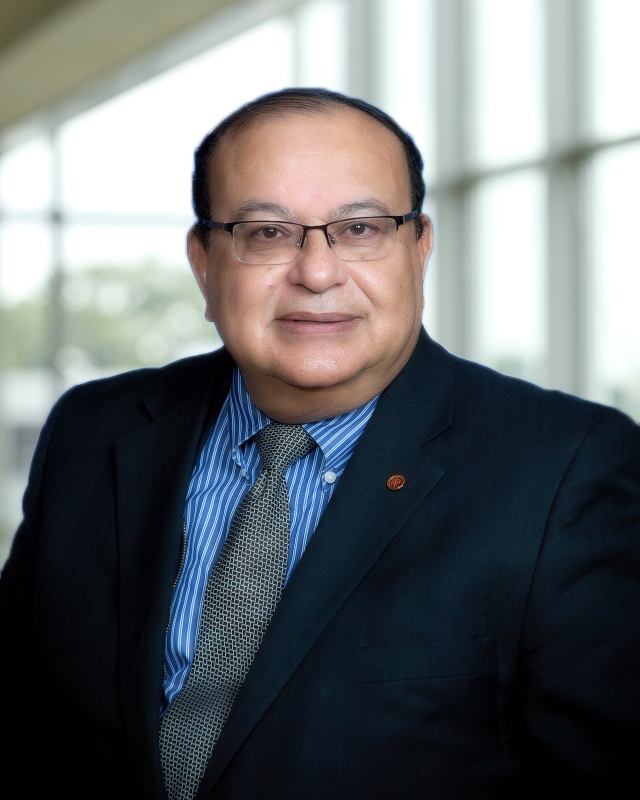Waguih ElMaraghy