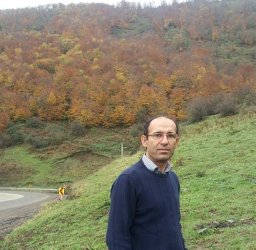Mojtaba Amani
