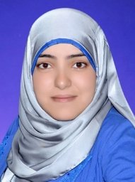 Manar M. Farouk