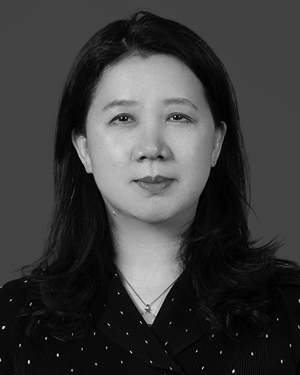 Bifei Mao