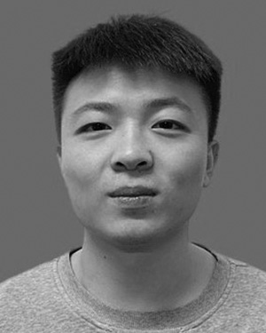 Jingtao Qi