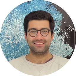 Deniz A. Bezgin