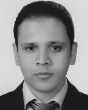 Ahmed M. Hamza