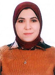 Basma H Marghani