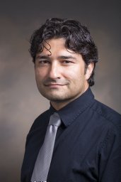 Alireza S. Sarvestani