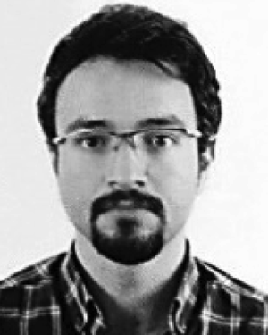 Hamed Hasani