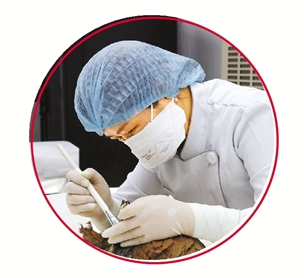 Yang Zhou