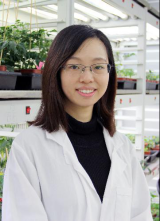 Hui Shi