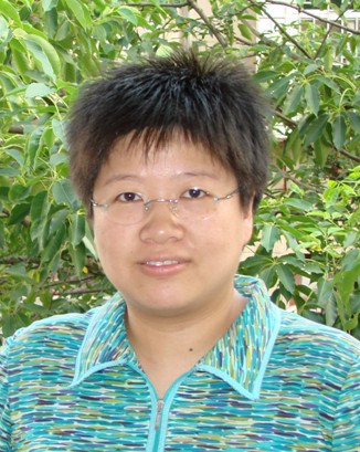 Feng Ding