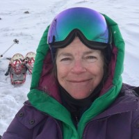 Anne Nolin