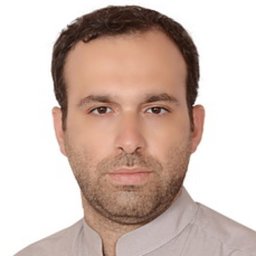 Hamed Molladavoodi