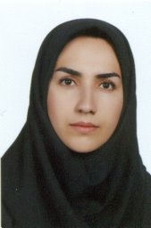 Ghasemi Elham