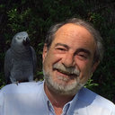 Luis Gil