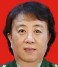 Xianyang Zhu
