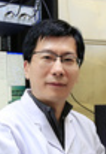 Yi Dong