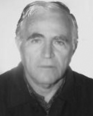 Perikles D. Bourkas