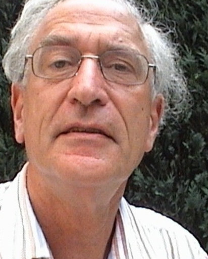 Robert A F M Chamuleau