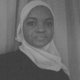 Abdulrazak B. Ibrahim