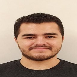 Seyed Hamid Hosseini