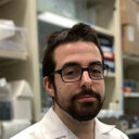 Benjamin Lebeau