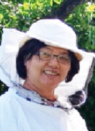 Wei Shi