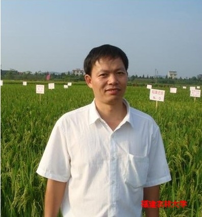 Ruiyu Lin