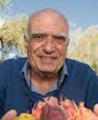 Yosef Mizrahi