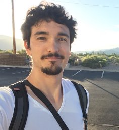 Sylvain D Gennaro