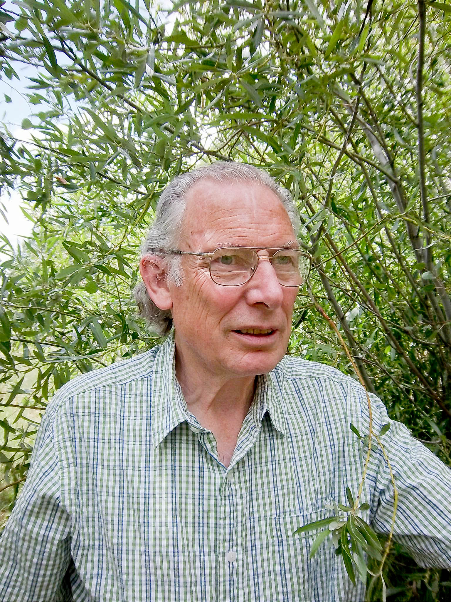 Peter W. Price