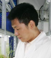 Aisheng Xiong