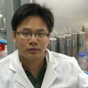 Bin Wang