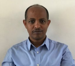 mesfin tsegaye gebremikael