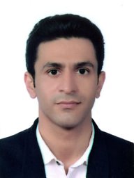 Seyed Mostafa Mir