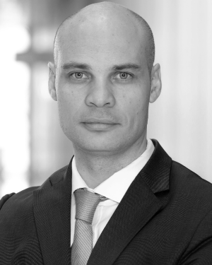 Javier Hernandez Fernandez