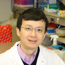Hu Zeng