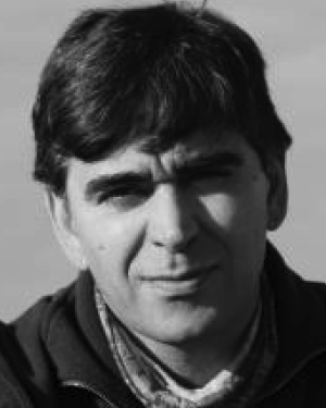 Manuel M. Ferreira