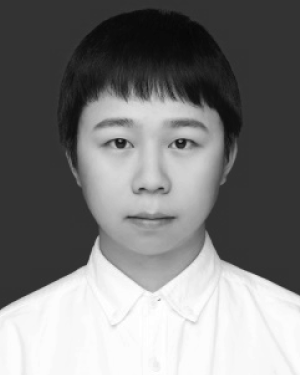 WANG Hanwen