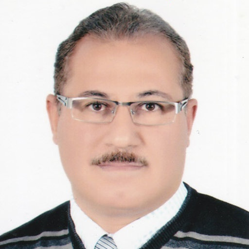 Mohamed Mahmoud Elsayed Nasef