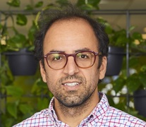 Mahdi Miri Disfani