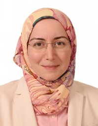 Zeina N. Al-Mahayri
