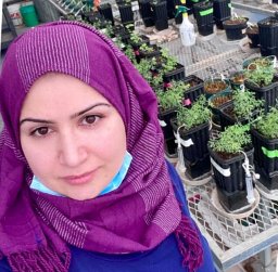 Mariam K Al-Lami