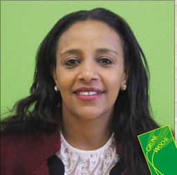 Terfa Meseret Tesema
