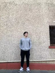 Shengqiang Zhu